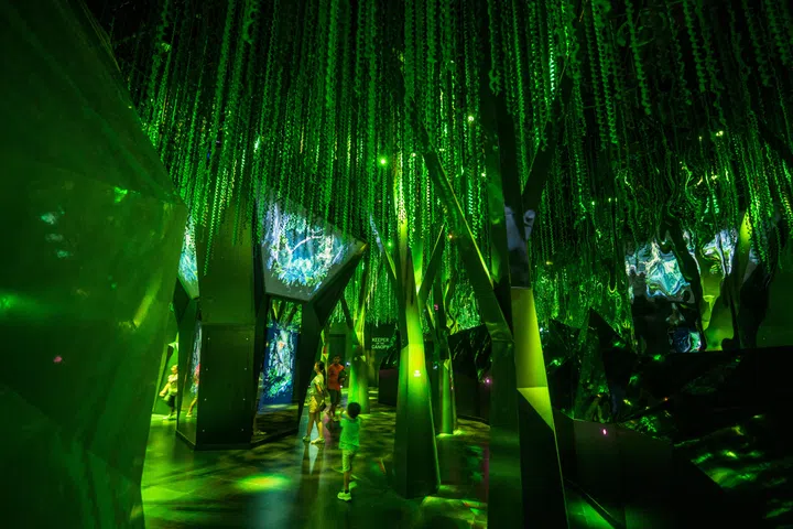 Infinite Wonderland at Exploria Mandai Wildlife Reserve Singapore