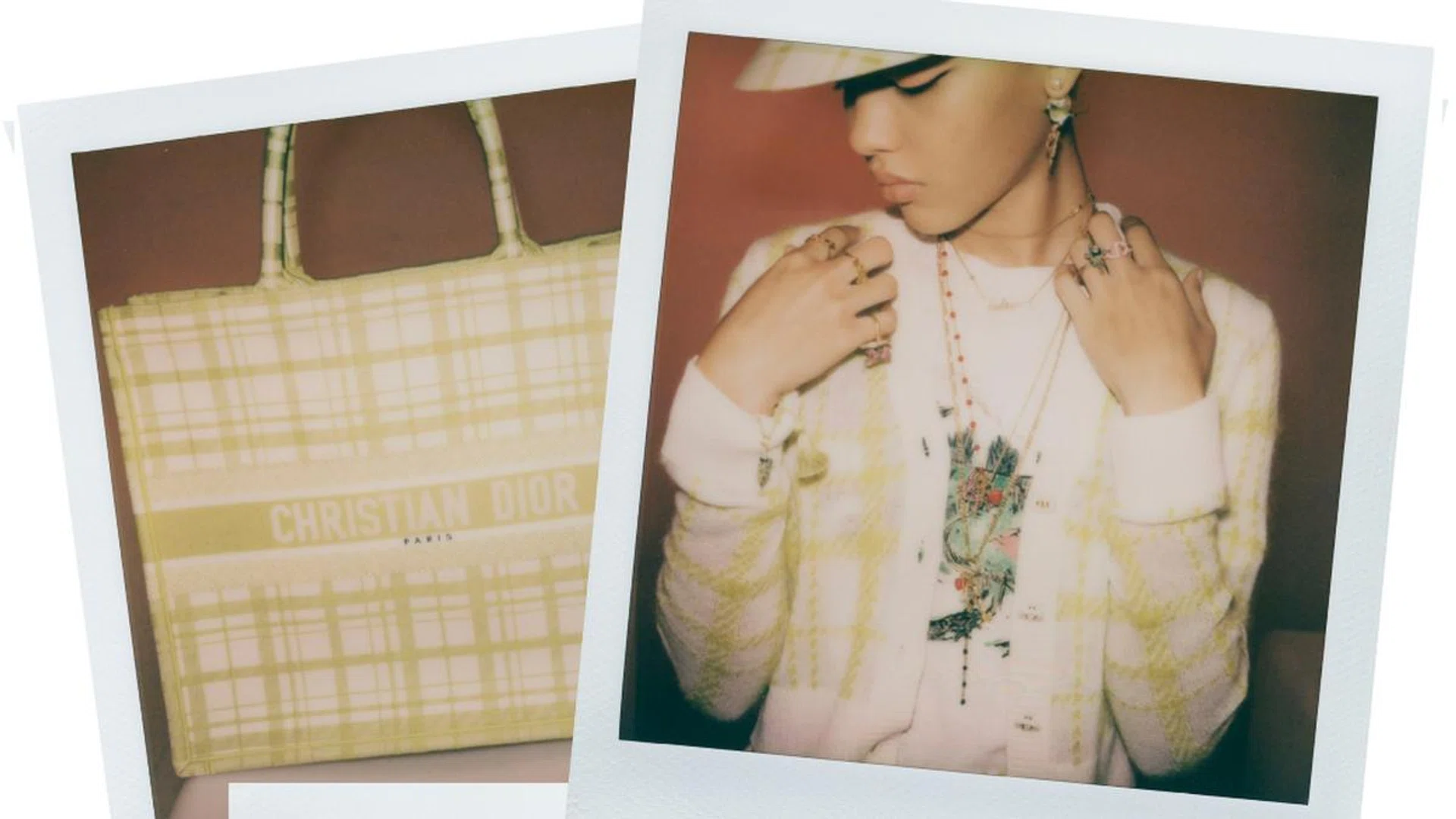 dior bags 2021