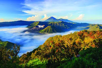 indonesia