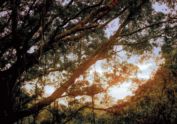 chanel metiers d'art hangzhou