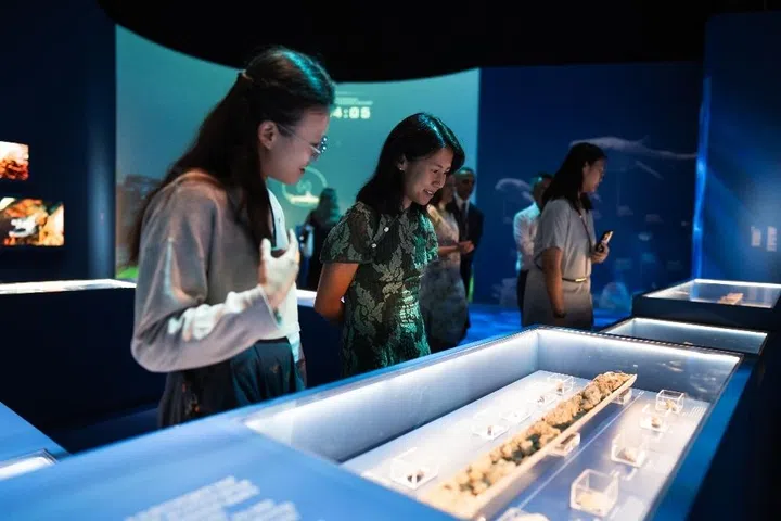 mbs sg eco fund Sustainable Futures Film Festival programme