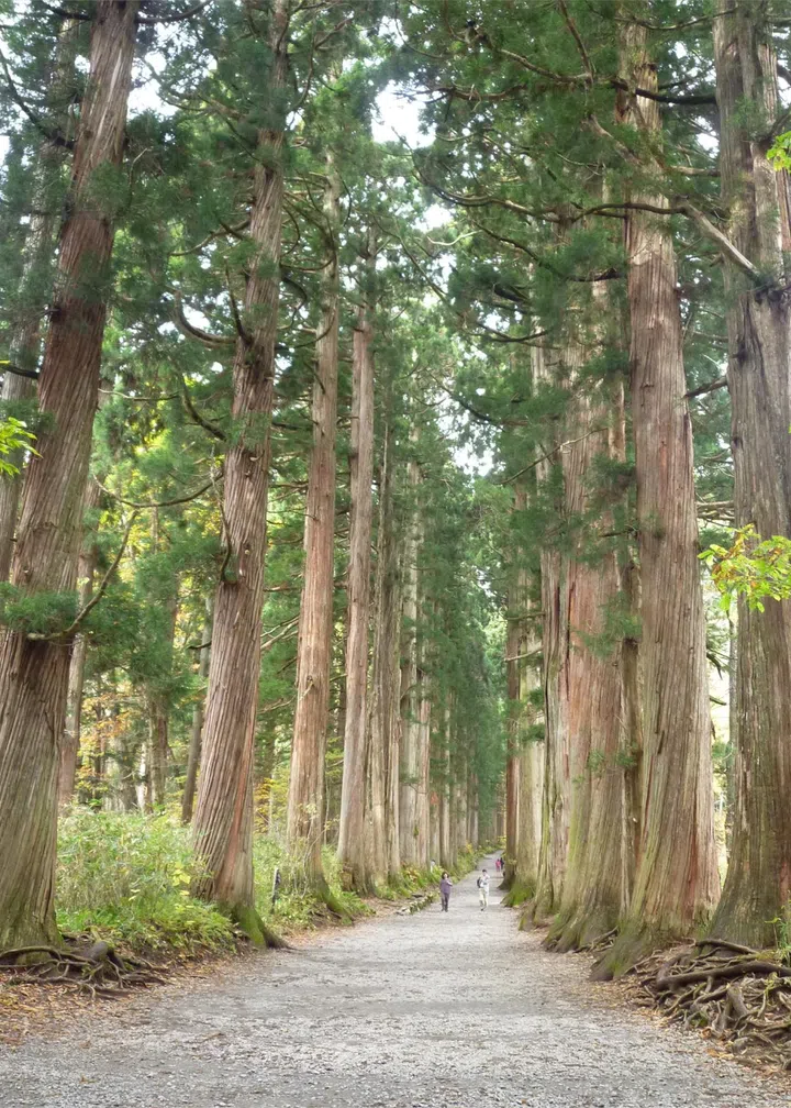 TOGAKUSHI SHRINE (NAGANO)