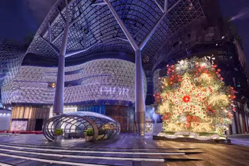 dior ion orchard christmas tree