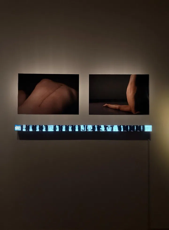 ArtScience Museum singapore Flesh and Bones: The Art of Anatomy exhibition