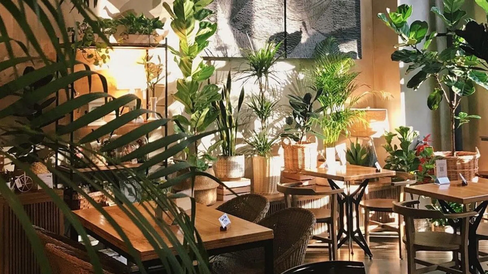 Knots Cafe and Living. Credit: Courtesy