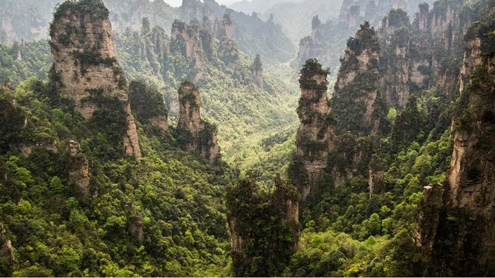 ZHANGJIAJIE NATIONAL FOREST PARK, CHINA