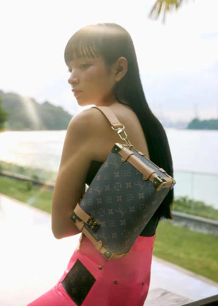 Louis Vuitton Side Trunk