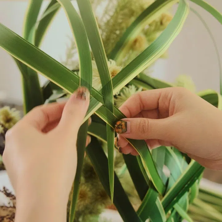 Close-up of ikebana artist Zoe Chen weaving New Zealand flax to mirror Bottega Veneta’s Intrecciato technique.