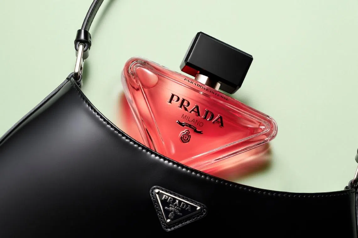 【完売品】PRADA PARADOXE INTENSE 50ml 限定デザイン Amazon.com : Paradoxe Intense by Prada for Women - 1.6 oz EDP