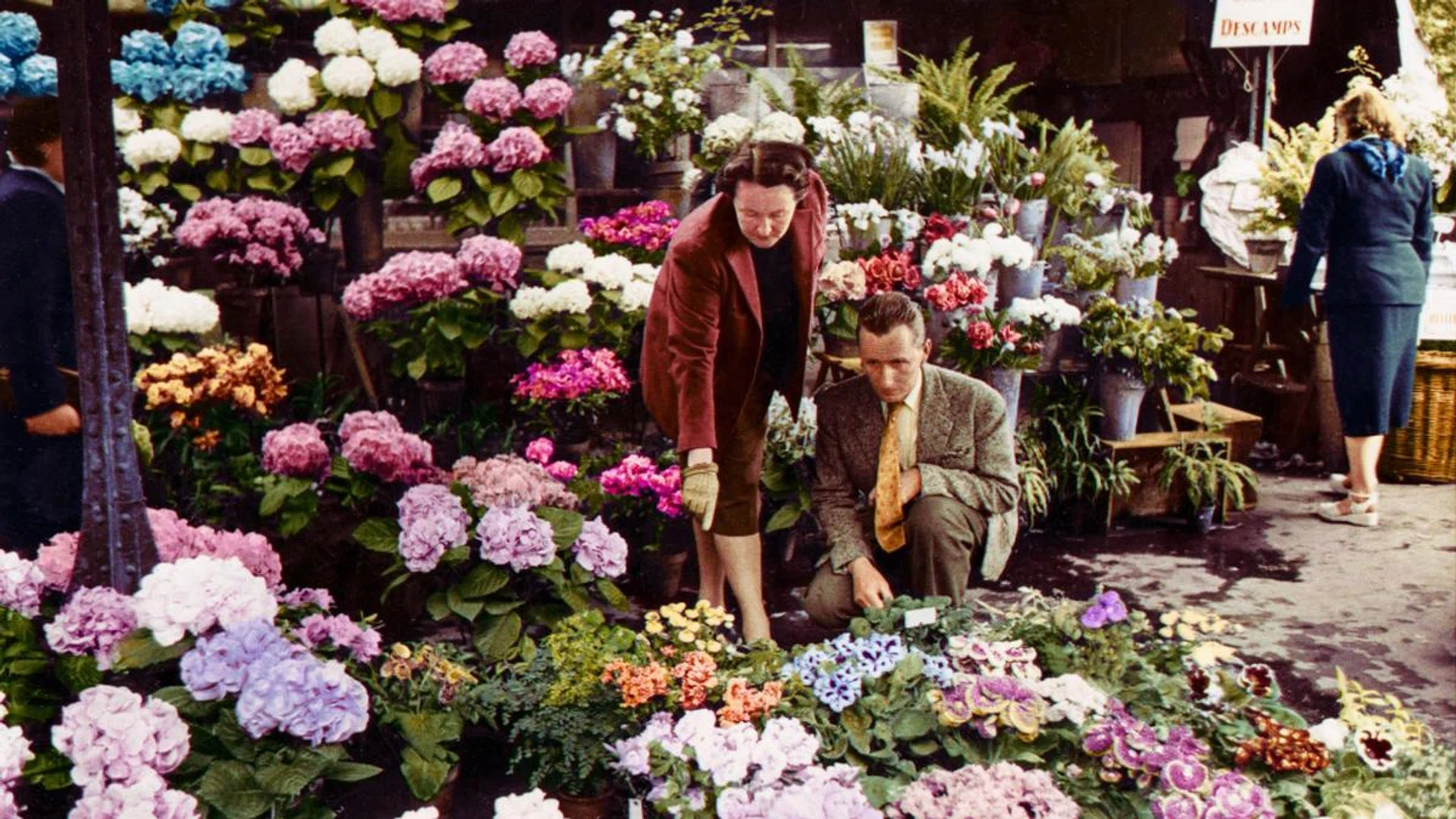 Catherine Dior and her life partner Herve des Charbonneries at their flower stand in the Les Halles market in Paris in 1957. After the war, Dior turned to her passion for flowers as a  sort of lifeline to cope with the trauma that she suffered. Credit: Dior