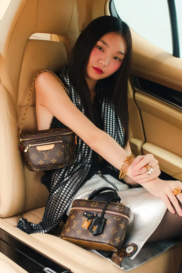 louis vuitton monogram