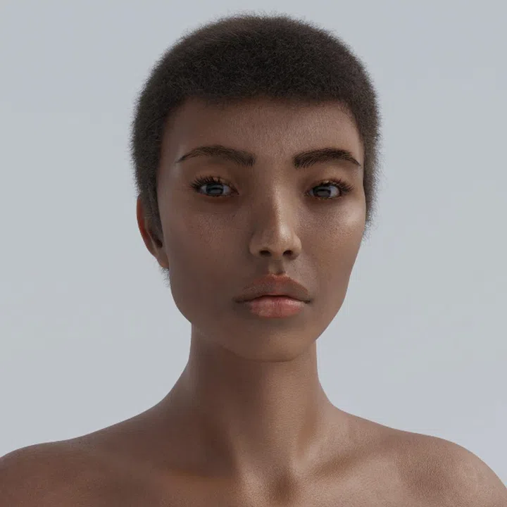 singapore model diversity