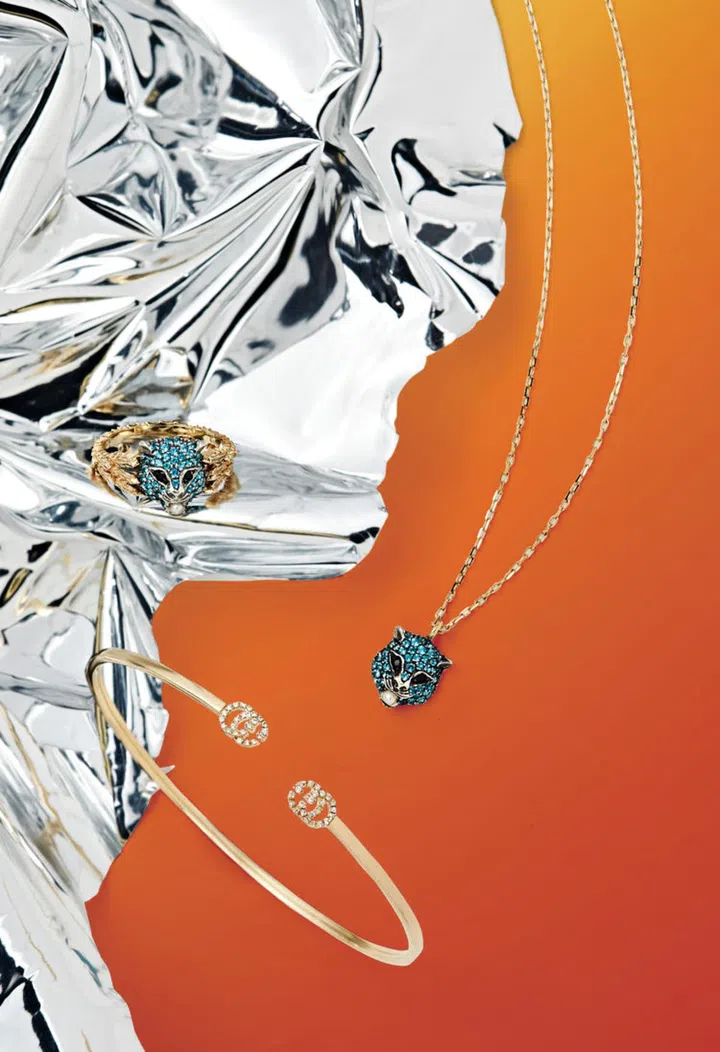 covetable watches