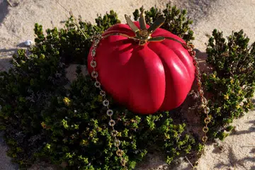loewe tomato