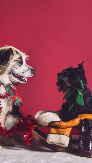 tod's christmas