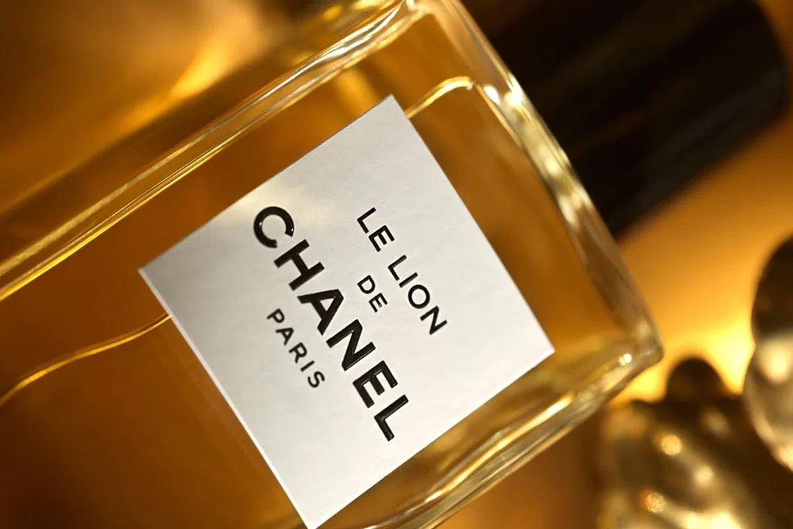 The Le Lion de Chanel Perfume Makes A Case For Oriental Frgrance