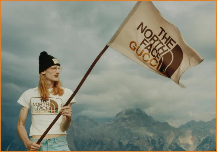 gucci the north face