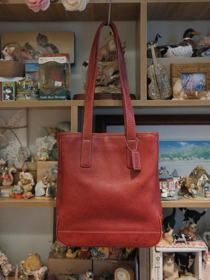 gen z first designer bag luxury bag recommendations coach tote
