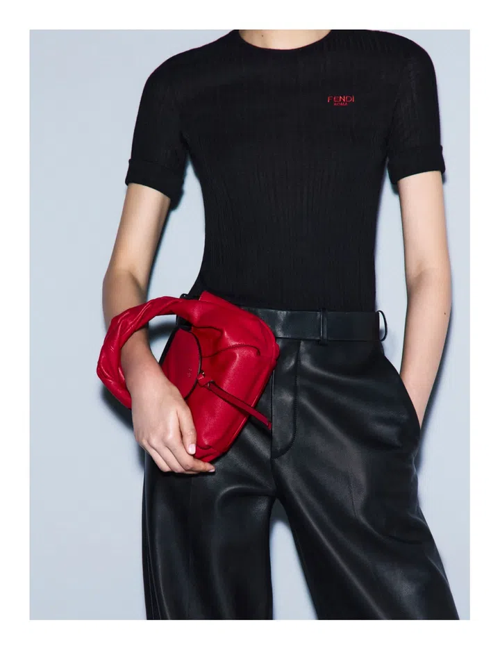 Fendi Spy Bag Fall Winter 2025