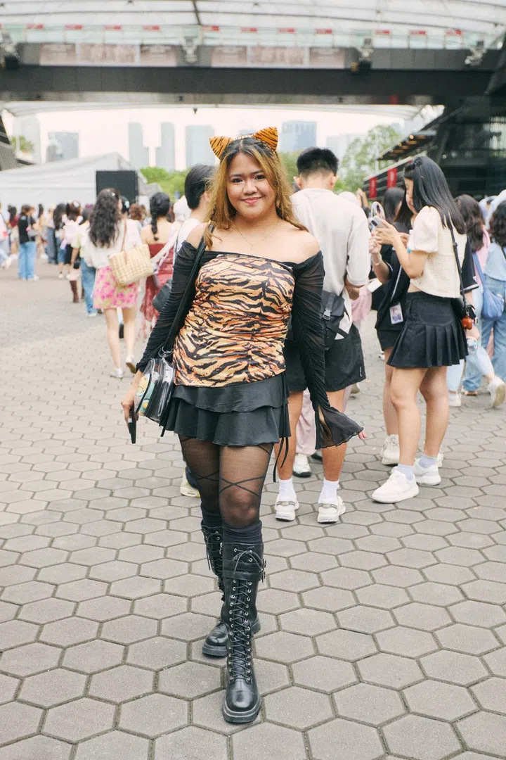 seventeen right here concert 2025 singapore hoshi tiger horanghae