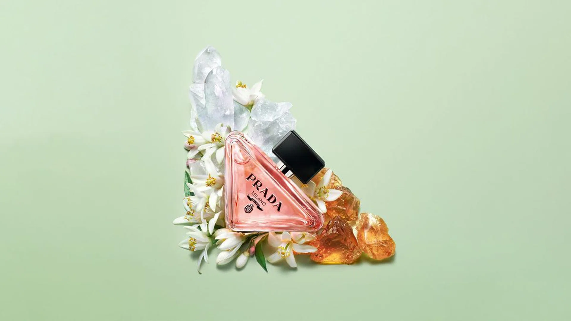 Flower power with the Prada Paradoxe. Credit: Prada