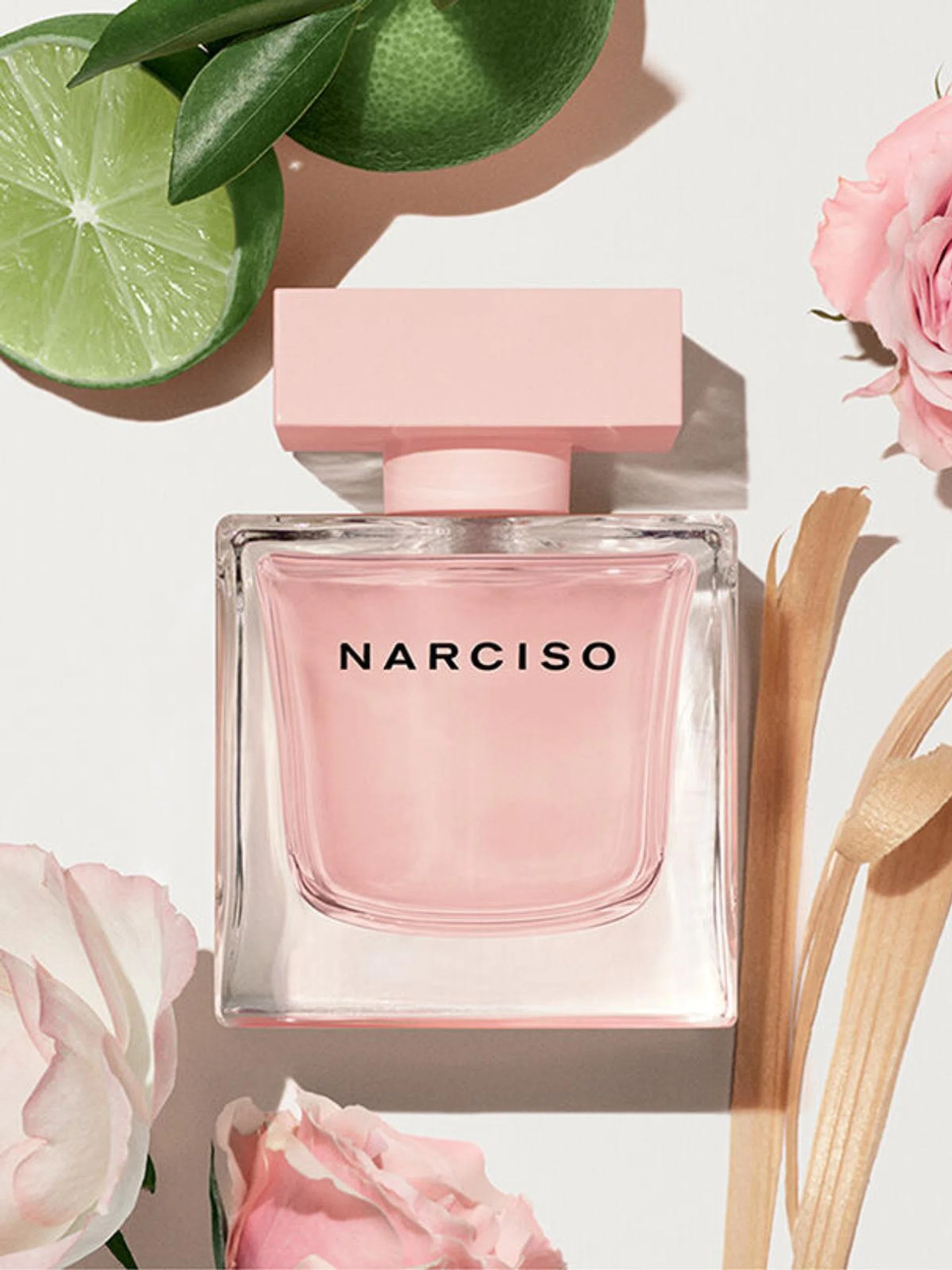 Clean perfume fragrances Singapore