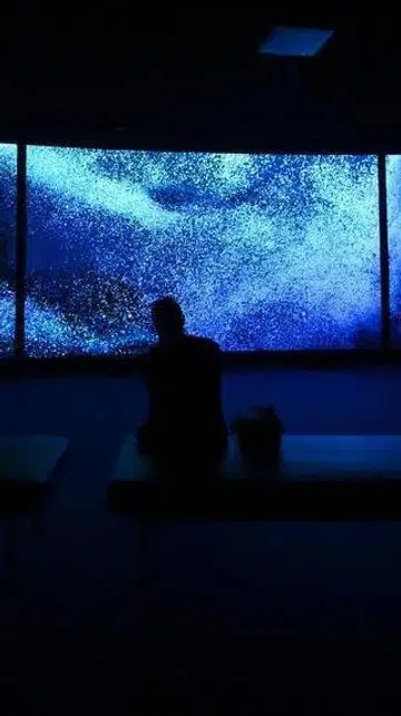 Into the ocean exhibition at ArtScience Museum Singapore 2026