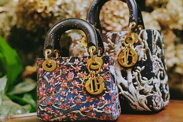 lady-dior-art-6