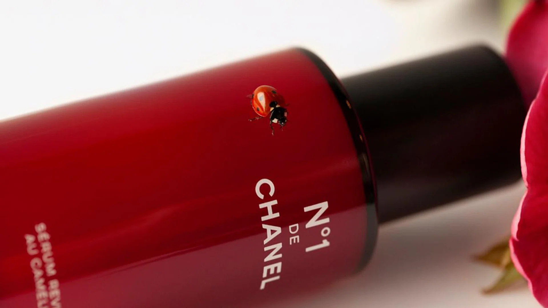 nº1 de chanel sustainability