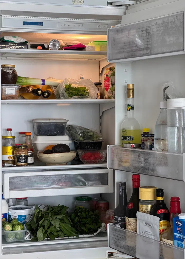 fridge contents