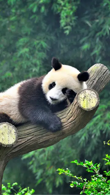 Top cities to travel in China