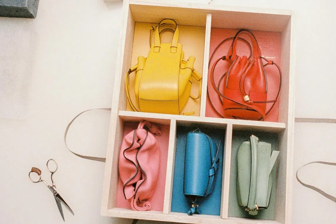 A $15K Collectable Box Set Made For The Ultimate Loewe Nano Bag