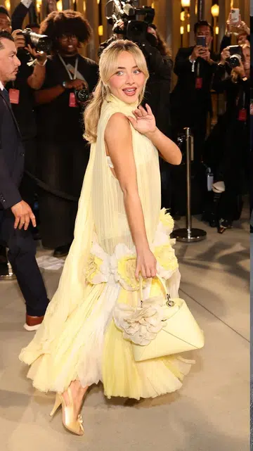 Dior Cruise 2027 show celebrition fashion outfits