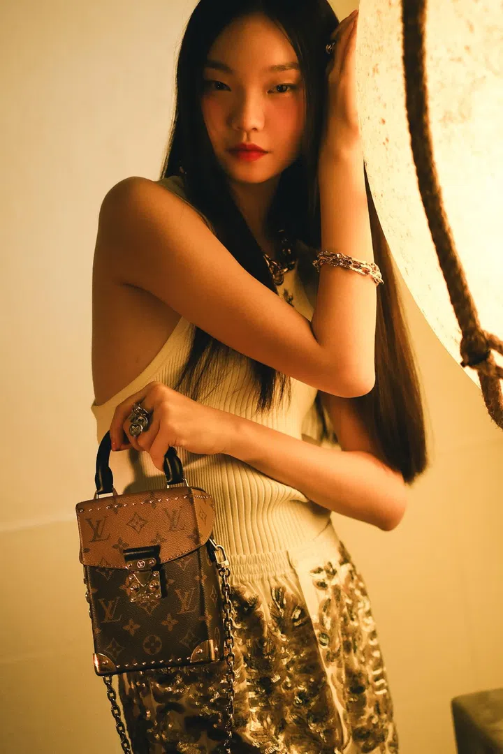louis vuitton monogram