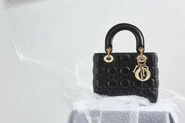 lady dior bag