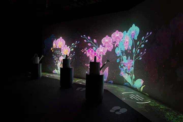 the secret vault new bahru interactive exhibition stewards garden