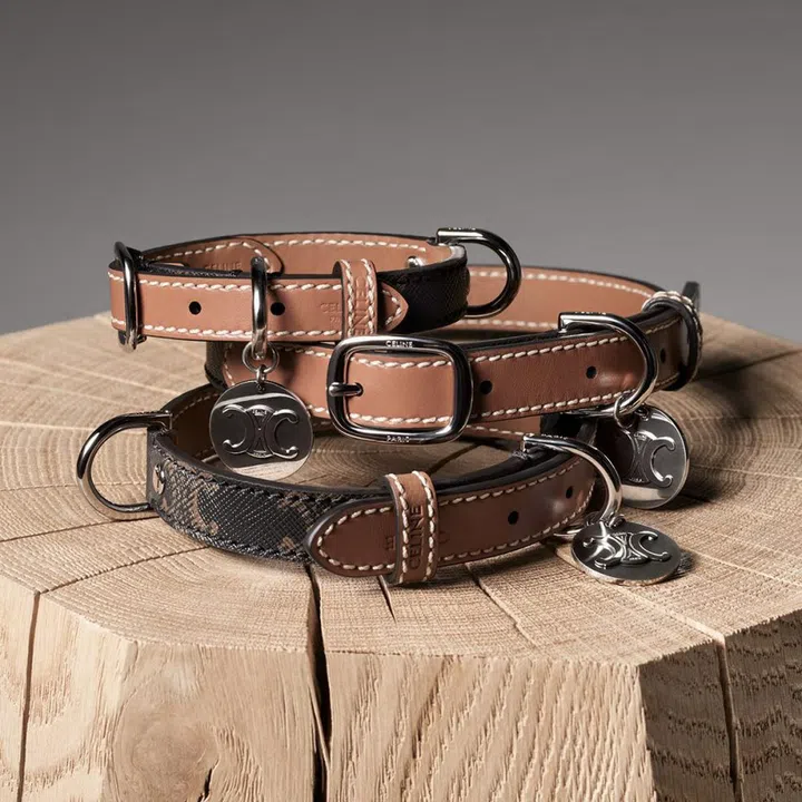 celine dog collection
