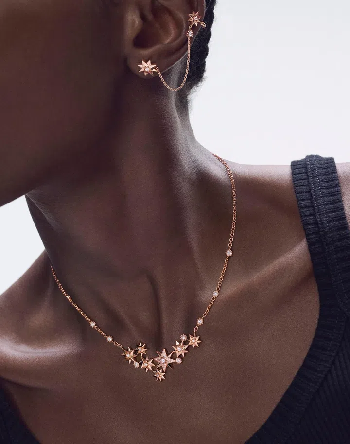 Dior Etoile des Vents