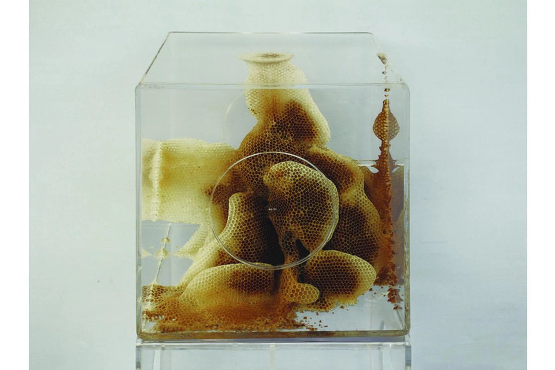 art exhibitions singapore