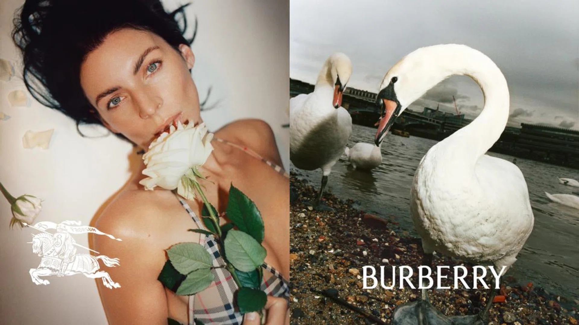 burberry logo