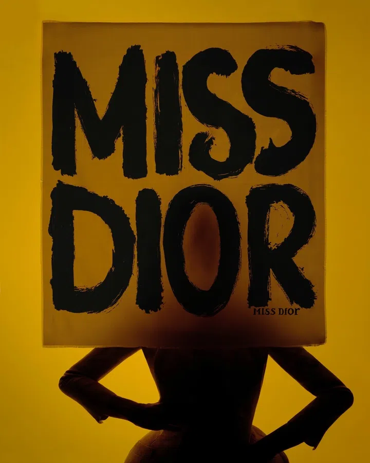 UBS House of Craft x Dior