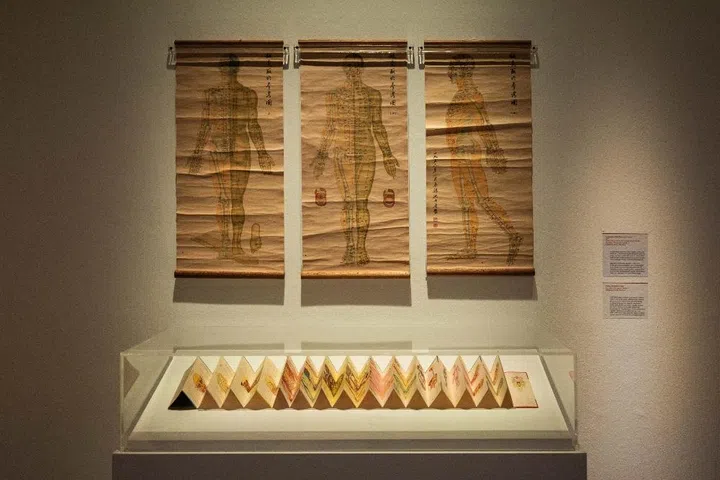 ArtScience Museum singapore Flesh and Bones: The Art of Anatomy exhibition