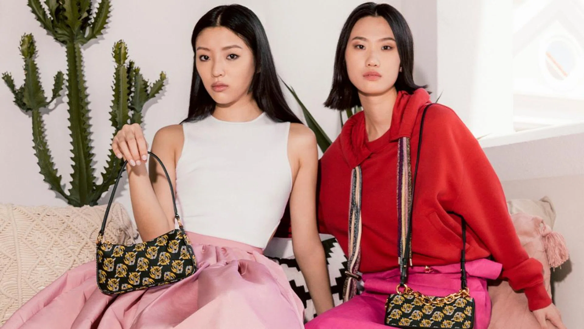 First crouch, then pounce. Credit: Charles & Keith