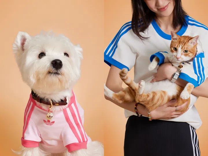 Adidas Pet Collection - pet cali tees