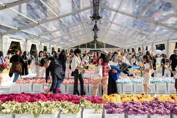 Cj hendry flower market singapore