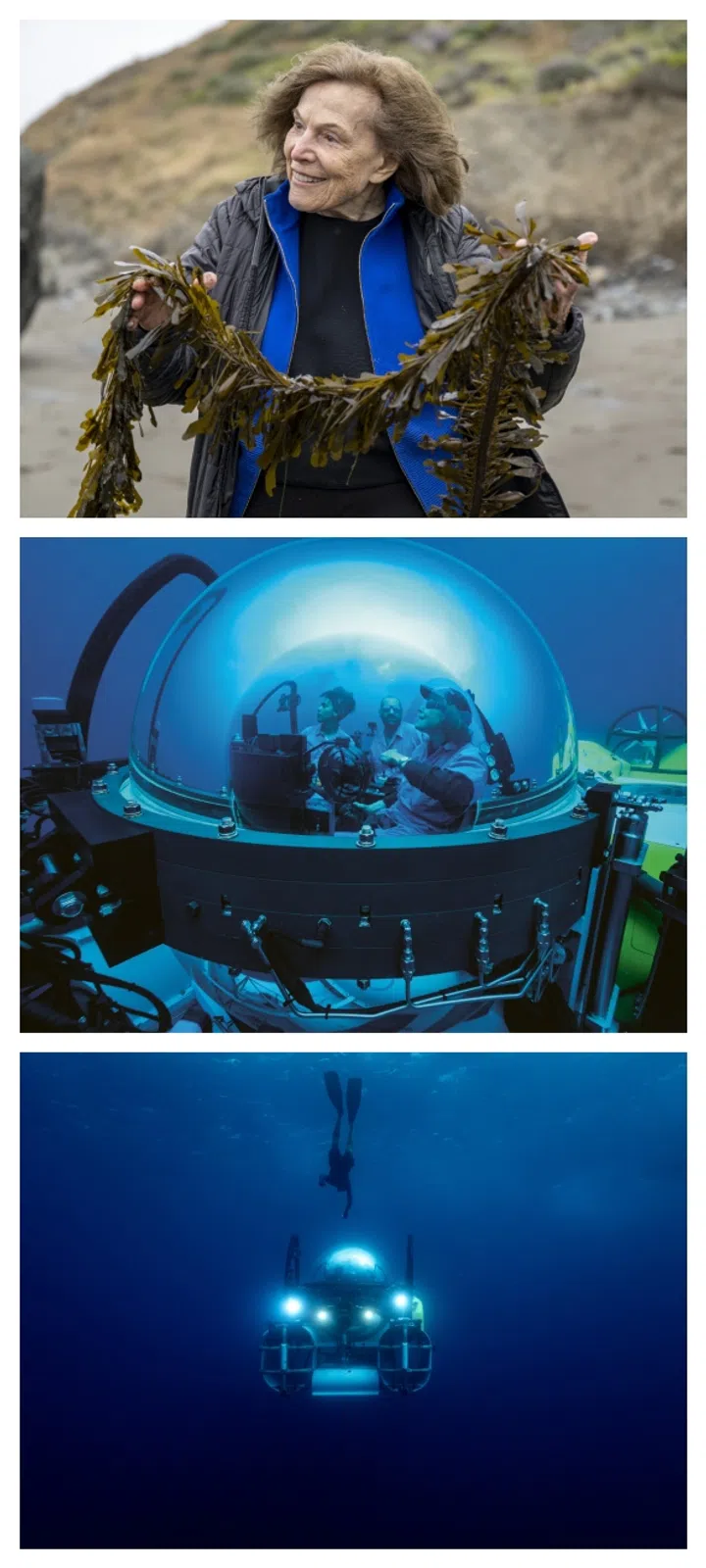 Sylvia Earle oceanographer diver career