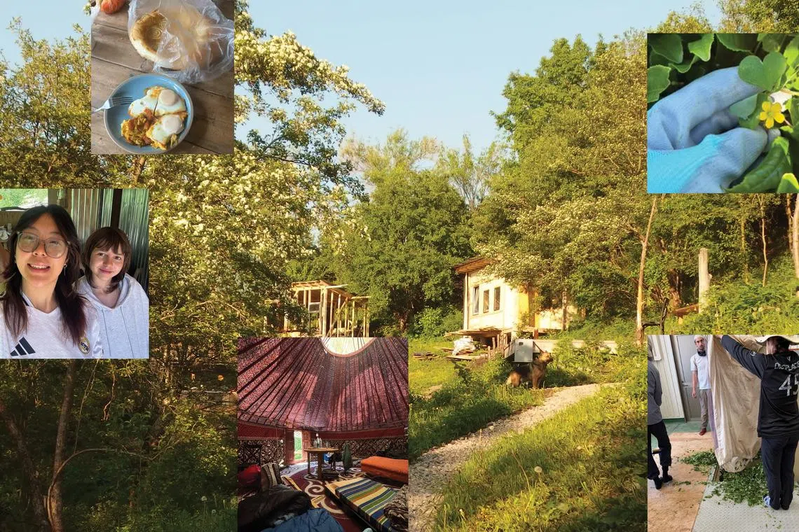 What Happens When Singaporean Gen Zs Trade City Comforts For Farm Life Abroad?