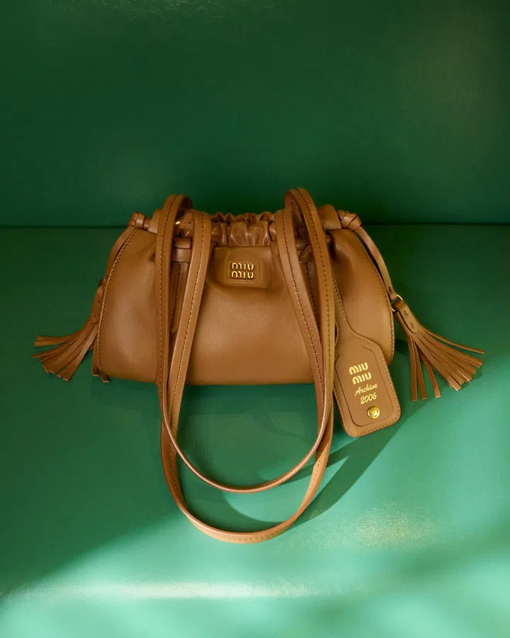 miu miu chinese new year brown bag