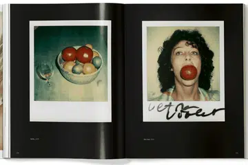 Andy Warhol Polaroids 2015 Ultra Violet