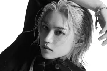 felix stray kids louis vuitton